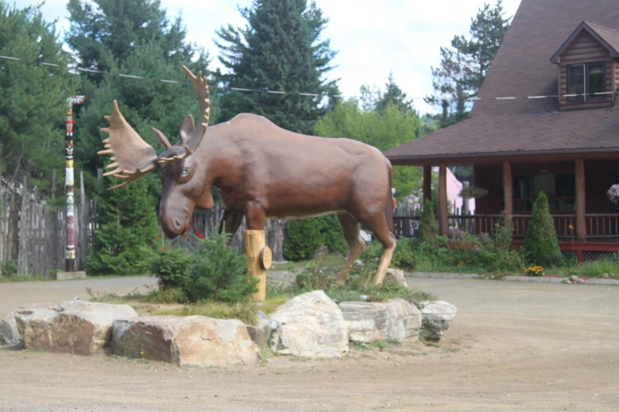 L'Auberge Refuge Du Trappeur Saint Mathieu Du Parc Exterior foto