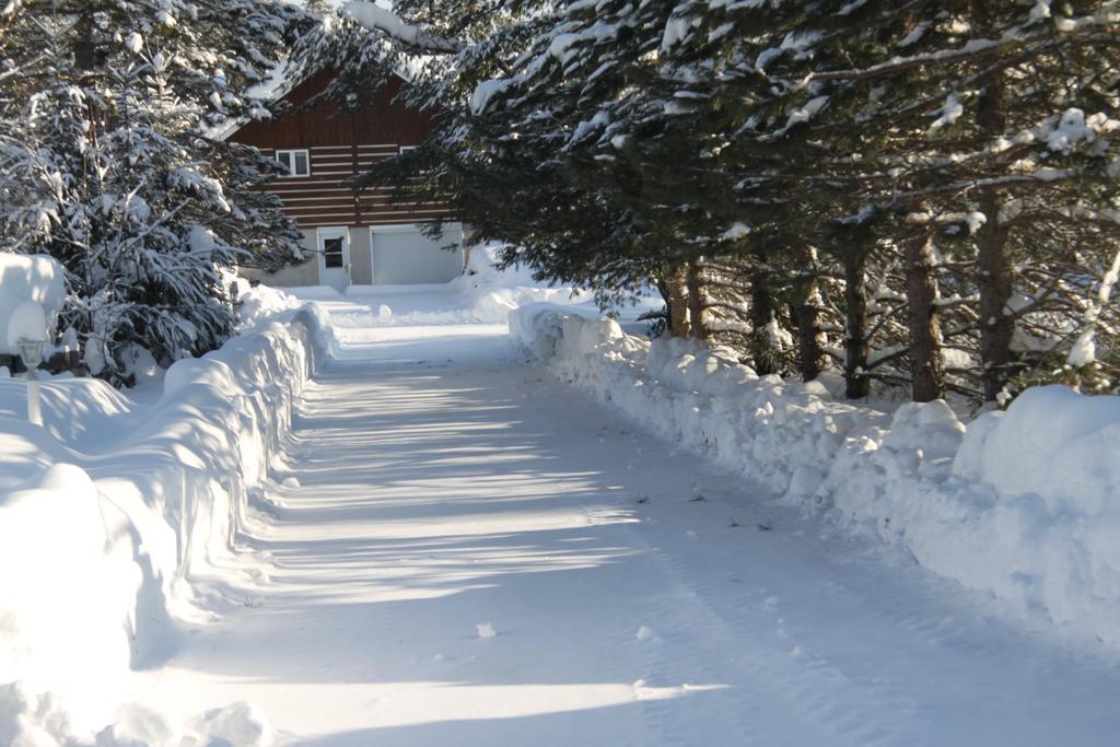 L'Auberge Refuge Du Trappeur Saint Mathieu Du Parc Exterior foto